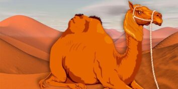 Cuento sobre la pereza: Cómo obtuvo el camello su joroba