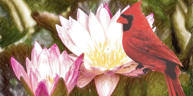 La flor de loto, leyenda maya sobre el amor y la empatía