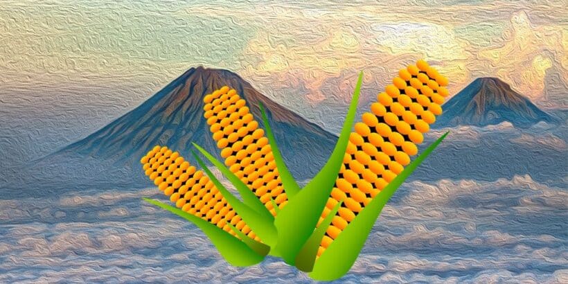 Los huicholes y el maíz, una leyenda mexicana