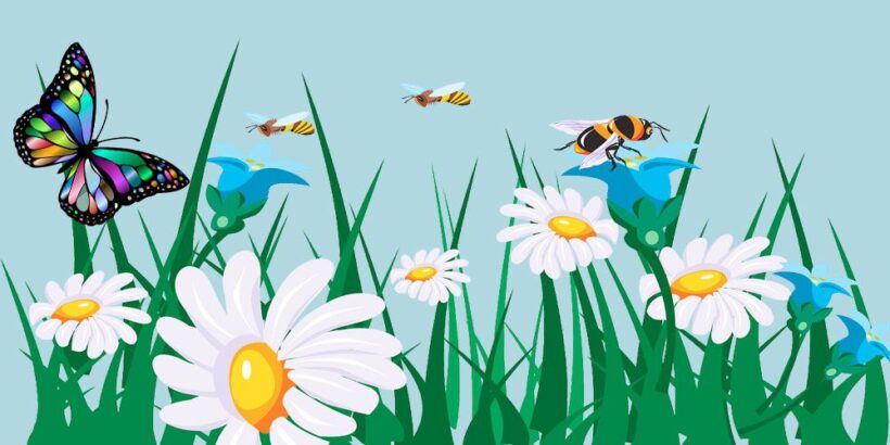 Una fábula sobre la generosidad: La mariposa y las abejas
