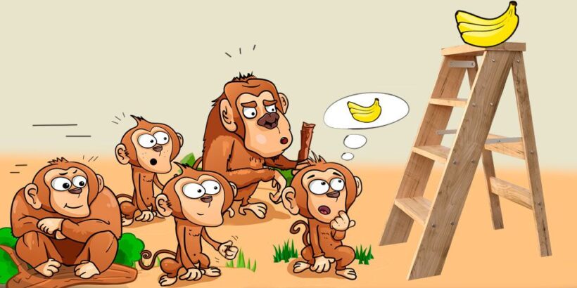 Experimento de los monos y los plátanos explicado