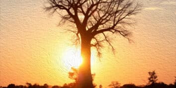 El árbol de la Historia, una leyenda africana