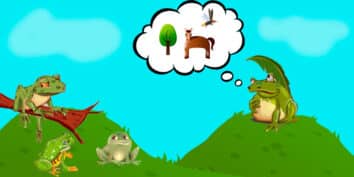 Los sueños del sapo, un cuento para niños y mayores