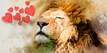 El león enamorado de la hija del labrador, fábula de Esopo
